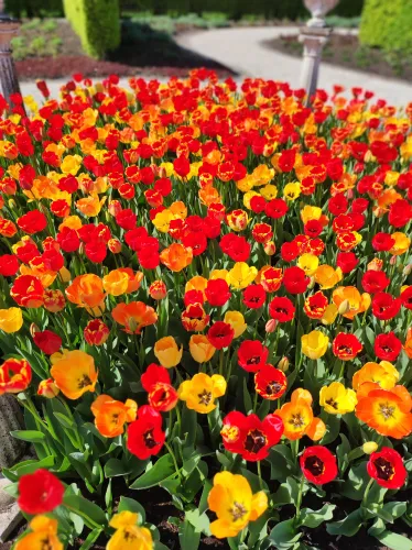 Die zauberhaften Schlossgärten Arcen